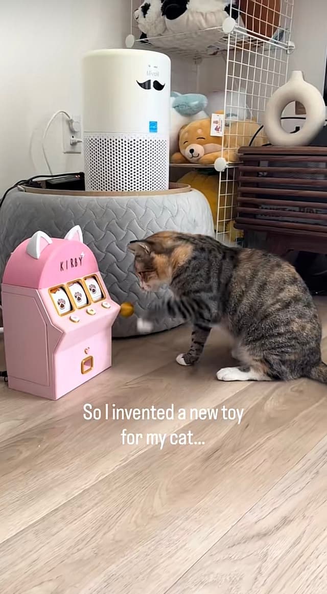 Cat Casino